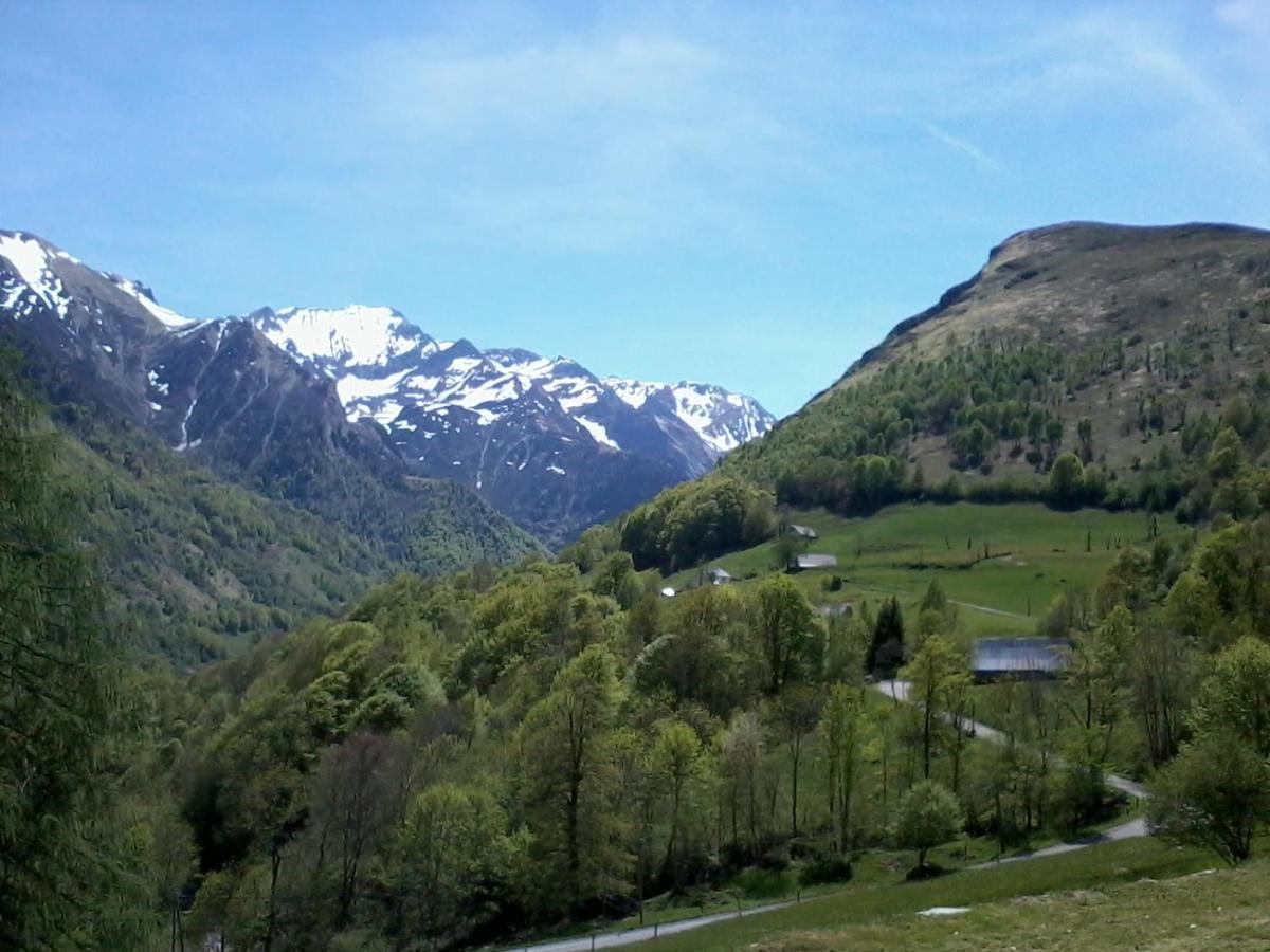 Appartement Habas Estaing Hautes Pyrenees Val D'Azun Luaran gambar