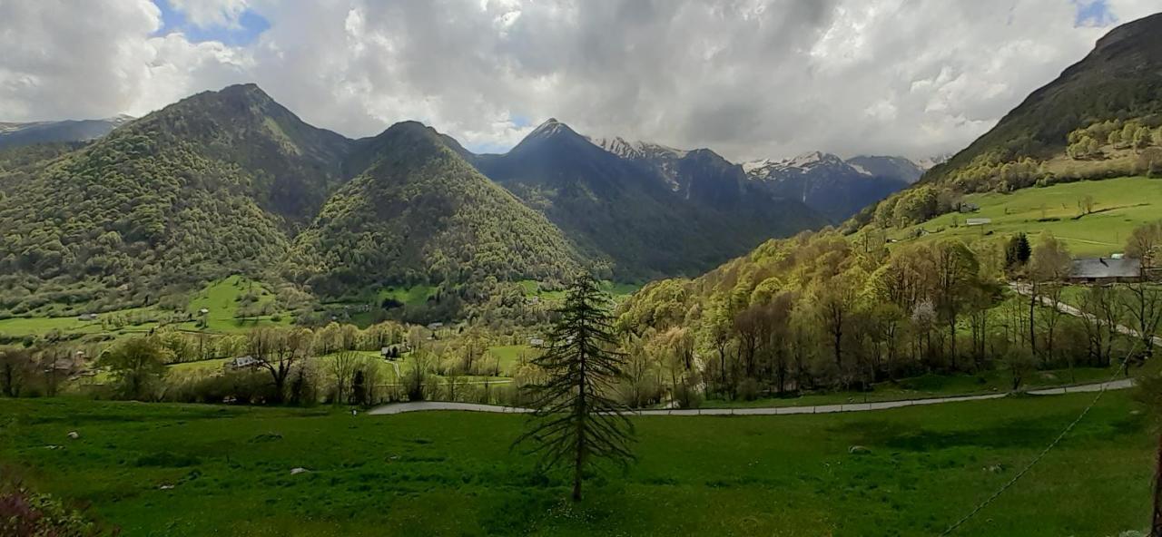 Appartement Habas Estaing Hautes Pyrenees Val D'Azun Luaran gambar