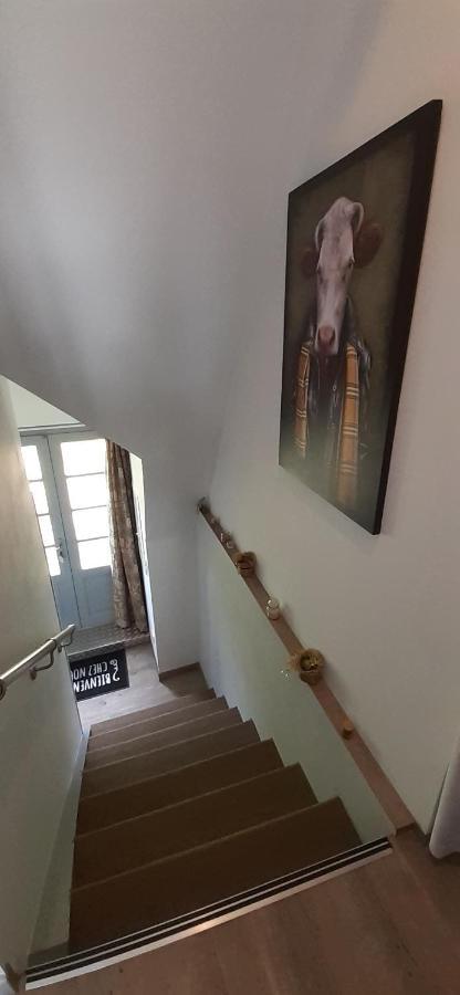 Appartement Habas Estaing Hautes Pyrenees Val D'Azun Luaran gambar