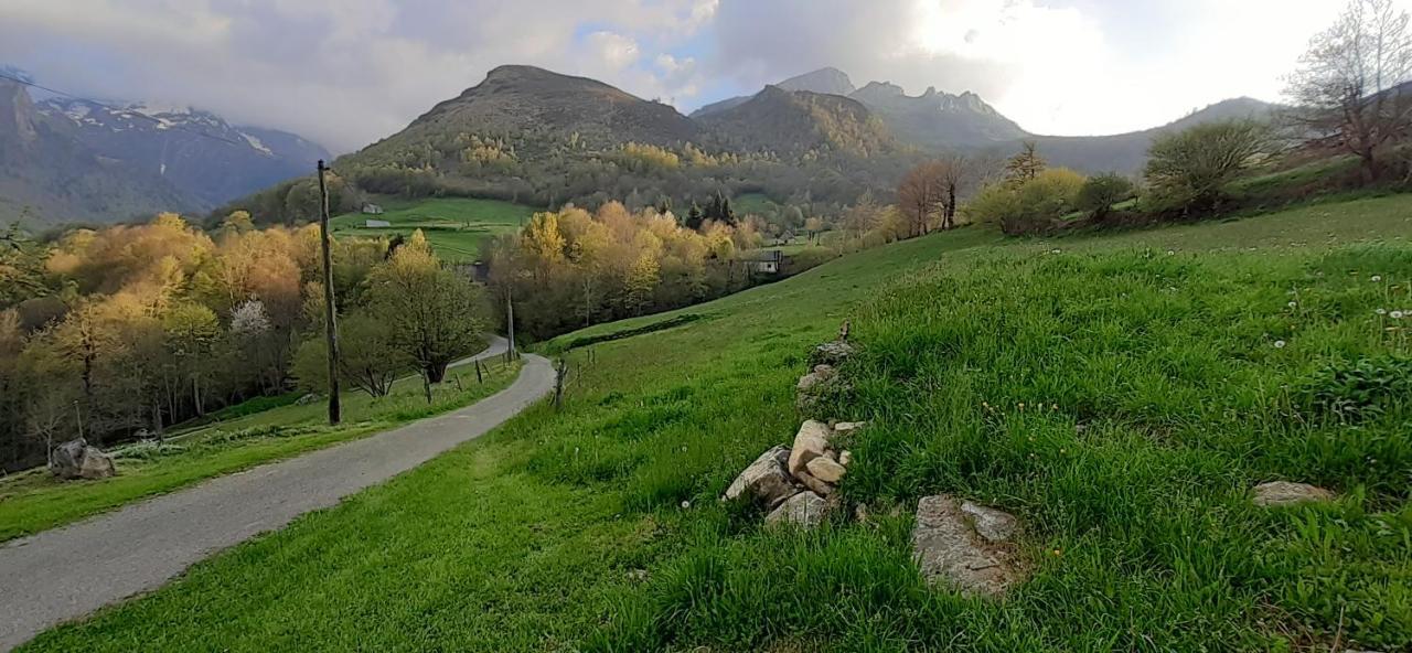 Appartement Habas Estaing Hautes Pyrenees Val D'Azun Luaran gambar