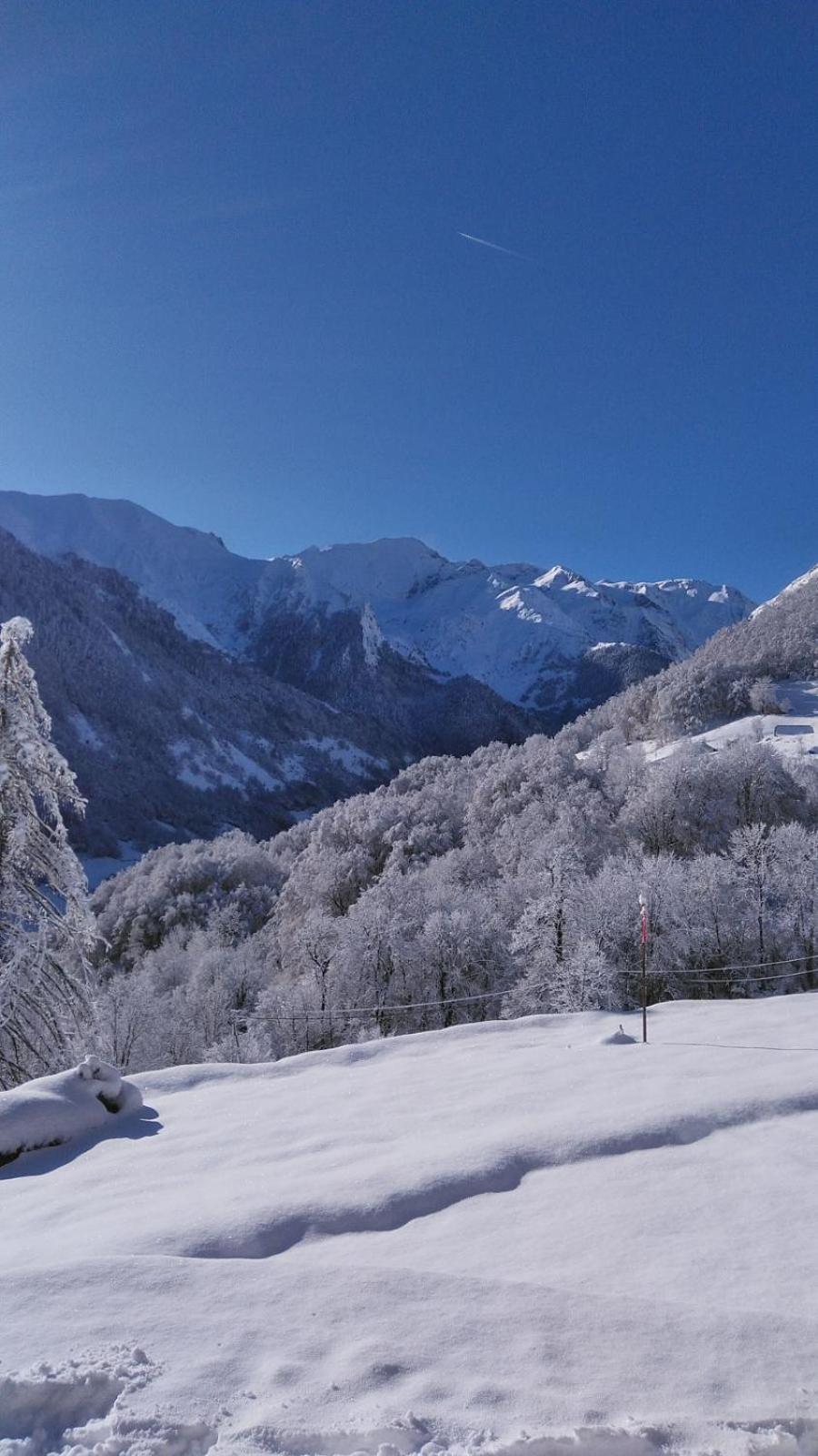 Appartement Habas Estaing Hautes Pyrenees Val D'Azun Luaran gambar